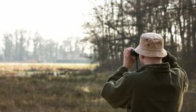 Vogelexcursie in het Wierdense Veld