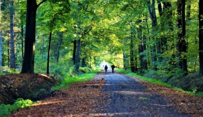 Wandelvereniging Ambulare traditionele Snerttocht