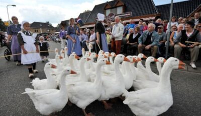 Cultuur Historische Optocht in Saasveld