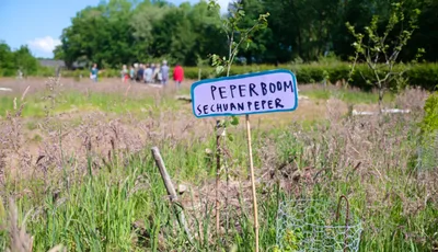 Voedselbos Weusthag open tijdens landelijke Open Voedselbossendag