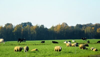 Fiets, proef en geniet: de Boergondische Fietstocht is weer terug!