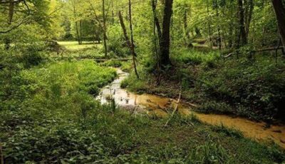 Nachtbeest'n excursie bie Hoeve Springendal