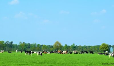 Streekproductenroutes Beuningen, Denekamp en De Lutte