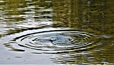 Beleef de Twentse Waterweken in Dinkelland en Tubbergen
