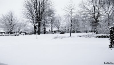 Nieuwjaarswandeling Dal van de Mosbeek