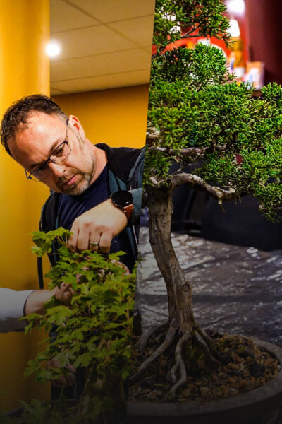 Stichting Behoud Twents Landschap  stelt gratis plantmateriaal beschikbaar | Moniek en Chris van Benthem