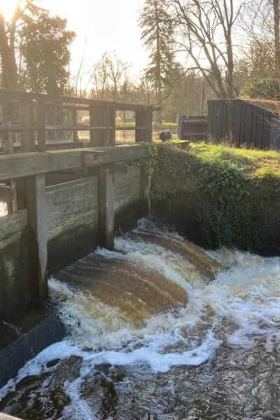 Hoe is het met de waterafvoer in de Dinkel en de Regge? | Martijn Heuvelmans Waterschap Vechtstromen