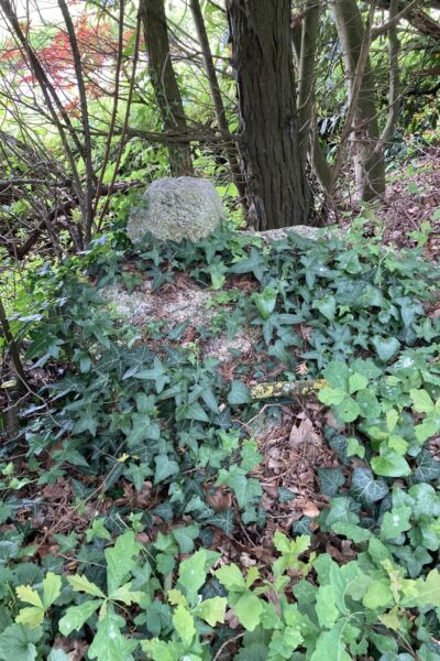 Onthulling twee markestenen Stichting Herstel Kleine Historische Elementen Wierden Enter | Ria Broeze