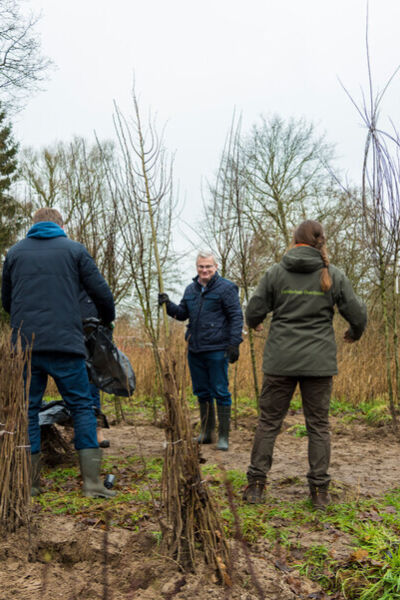 1,1 miljoenste boom Overijssel in Mander | Jessica Winter