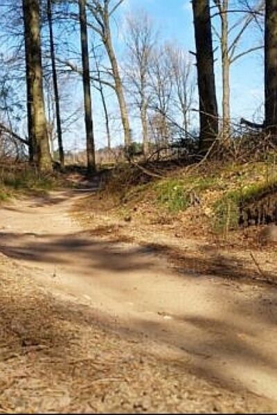 Natuurmuseum Holterberg doet op 29 april een gezinswandeling | Ingrid Steenbergen