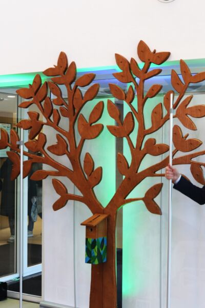 Wensbomen in Twente | Karin Freriksen