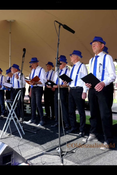 Smartlappenzangers op de muziekkoepel | Herman Nijhuis