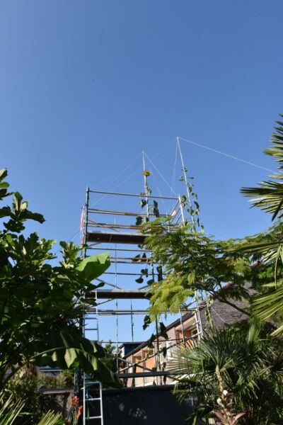 Jeroen uit Enschede verbreekt Europees zonnebloemrecord | Jeroen van der Velde