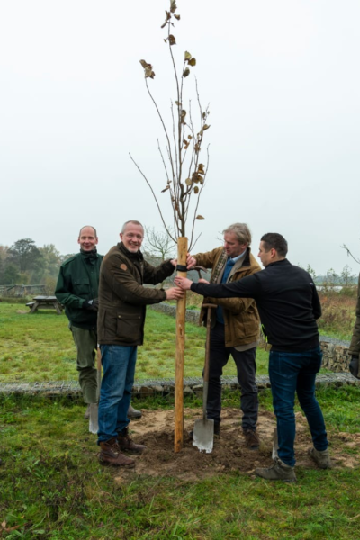 Er worden weer bomen uitgedeeld in Wierden | Gertjan ten Brinke