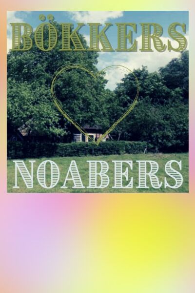 Muziek uit je eigen streek: Bökkers - Noabers