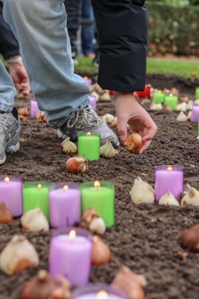 Derde editie bollenplantdag: Crematoria Twente trekt honderden bezoekers | Henriëtte Tomassen