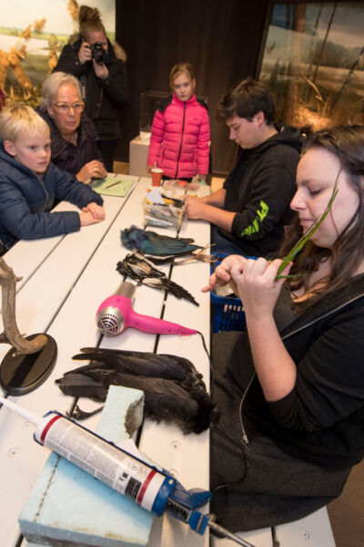 Demonstratie dieren prepareren 30 juni in Natuurmuseum Holterberg | Nicolien