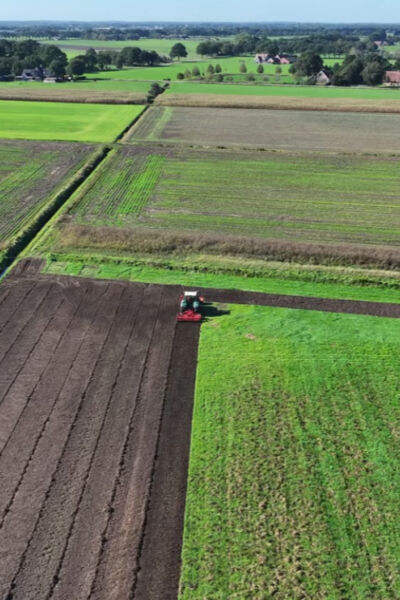 Grootste plasdras Vogelwerkgroep op de schop | Theo Lohuis