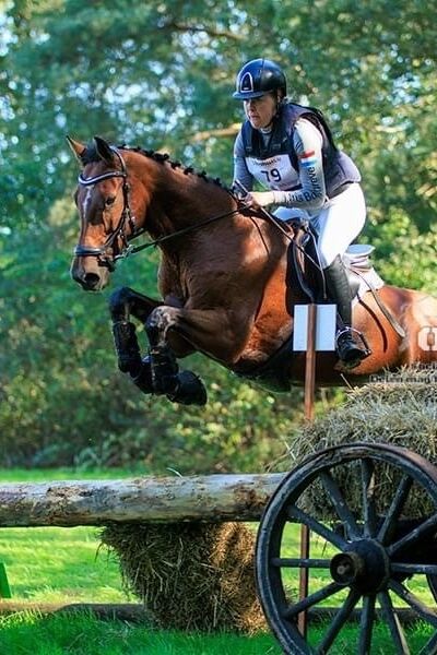 SGW Vasse update | Mariet Borgreve