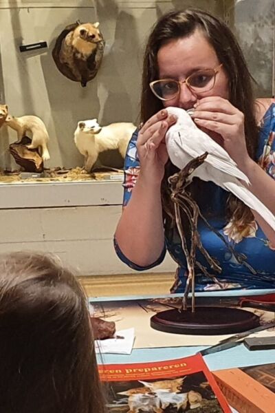 Demonstratie preparateur op zondag 24 augustus Natuurmuseum Holterberg | Ingrid Steenbergen
