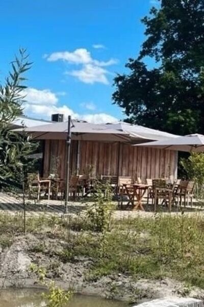 Zaterdagmiddag in het Natuurhus alles leren over uilen | Tini Dekker