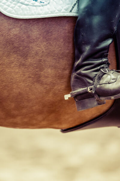 Opleiding Paardensport van Zone.college in Zwolle