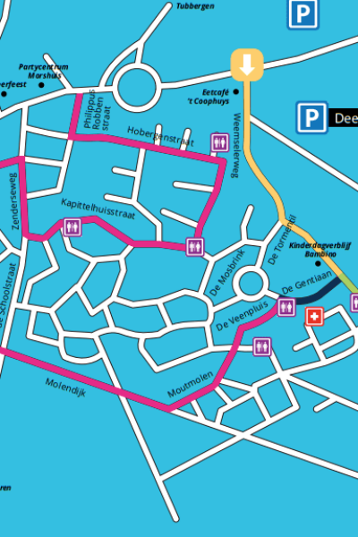 Carnavalsoptocht Albergen 2026 | Mariska Assink