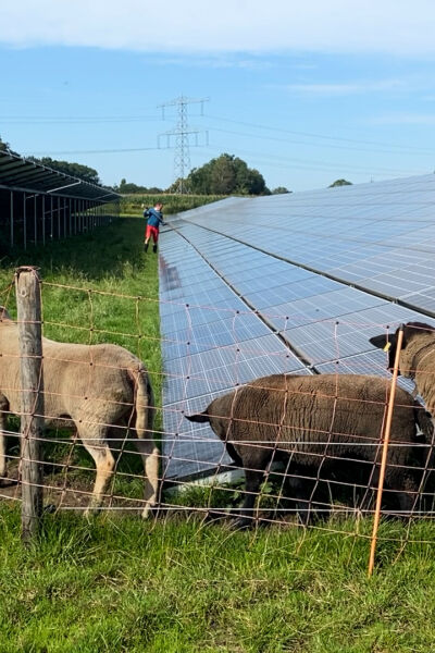 Geen uitbereiding zonneparken in Overijssel | Jaimi van Essen