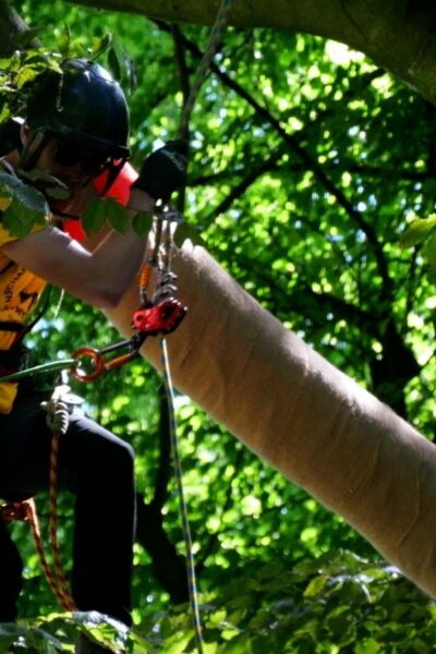 NK Boomklimmen Enschede: Hangend tussen de takken |  Freerk Oldenburger