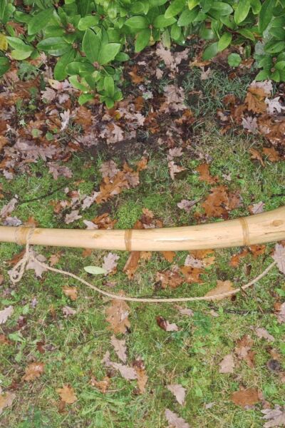 Midwinterhoornblazen: Edwin Steggink vertelt over dit fascinerende instrument