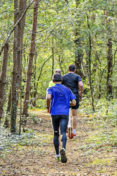 Dom Verdan Trail op 8 november 2025 | Bob Egberink