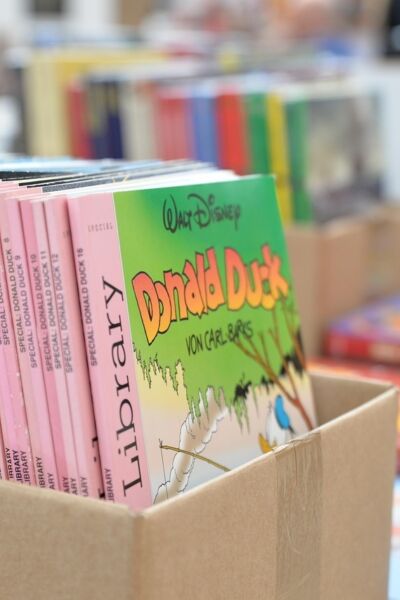 Regionummer Donald Duck Enschede | Ferdi Felderhof