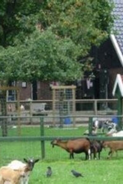 Nog steeds het mooiste uitje van de buurt bij Kinderboerderij Enschede Noord