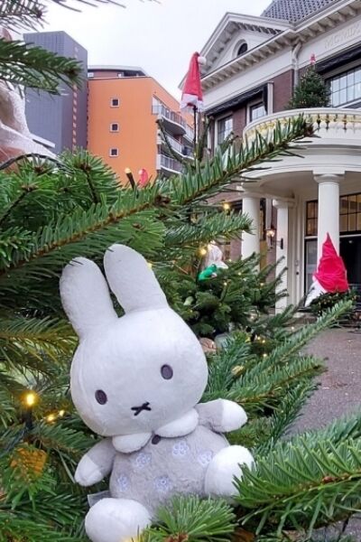 Gratis kerstknuffels in Enschede | Dennis Jongbloed