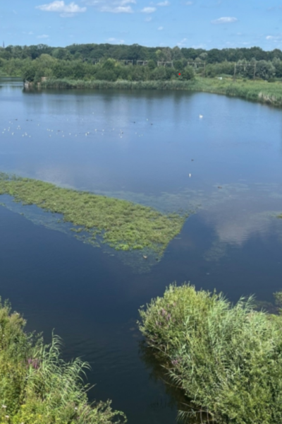 Wandelen met Landschap Overijssel