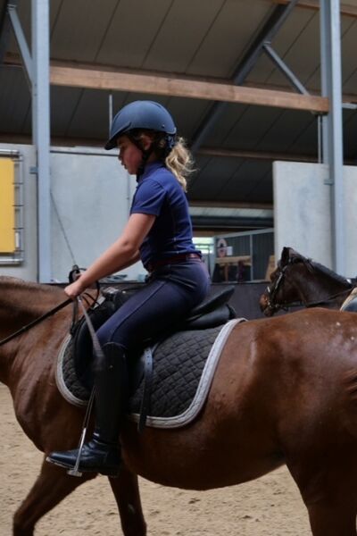 Manege Meinders genomineerd voor 'Hippisch ondernemer van het Jaar' | Ellen Loohuis