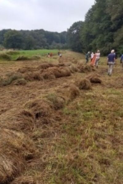 EnHOe doet een werkochtend: landgoed Willemsoord Boekelo | Rolf ter Stege