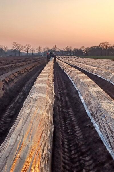 Hoe staat het met de asperges in Twente? | Peter Oude Luttikhuis van natuurlijk Mander