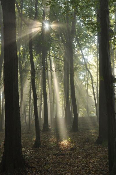 Walk into the Light in Almelo: stil staan bij suïcidaliteit | Veronique Scholte