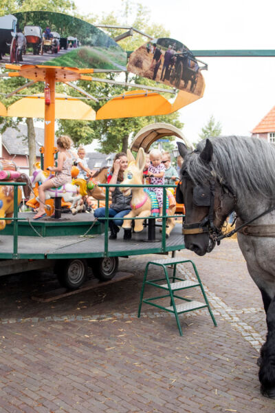 Enterse Paarden en Ponymarkt 2024 | Johnny Jansen