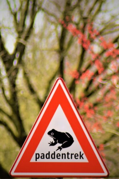 Paddentrek Almelo zoekt overgebleven cadeaubonnen: alle beetjes helpen | Elma Bartels