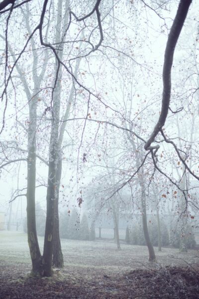 Midwinterhoorn wandeling 2025