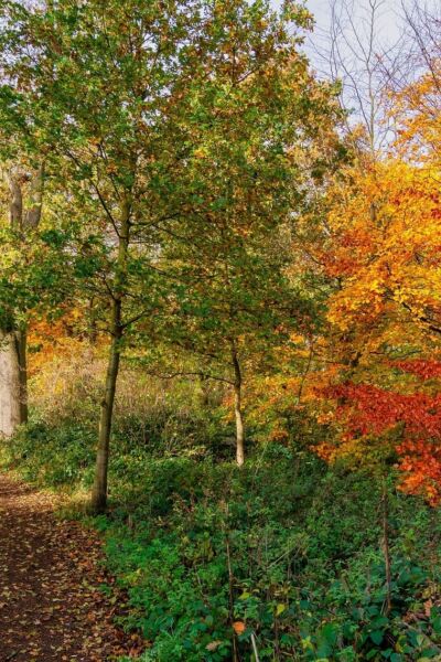 Er op uit met Landschap Overijssel | Louiset Vos Landschap Overijssel
