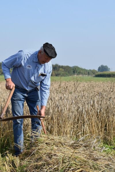 Nostalgische Oogstdag in Ootmarsum | Henk Eertman