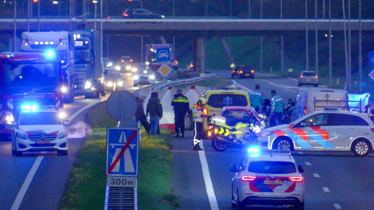 PHOTO 2022 11 04 17 18 35