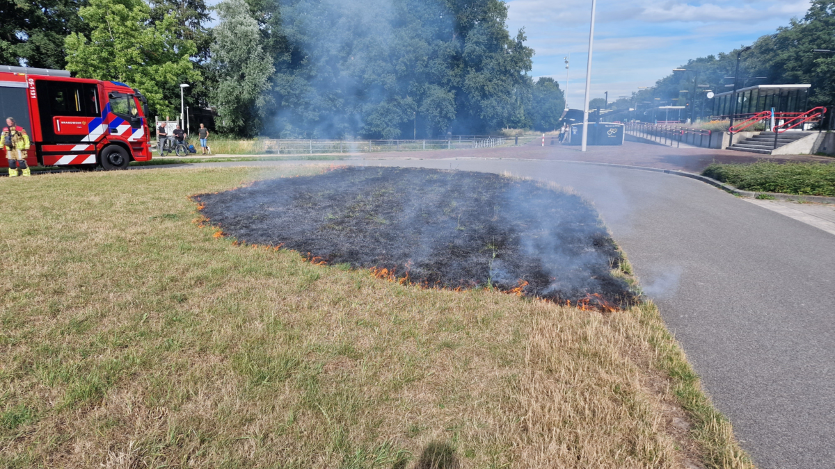 Rickoldenordkamp newsunited brand grasveldstationgezondheidspark