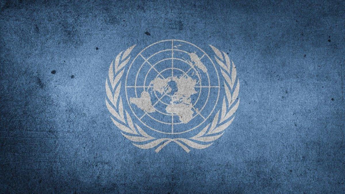 United nations 1184119 1280