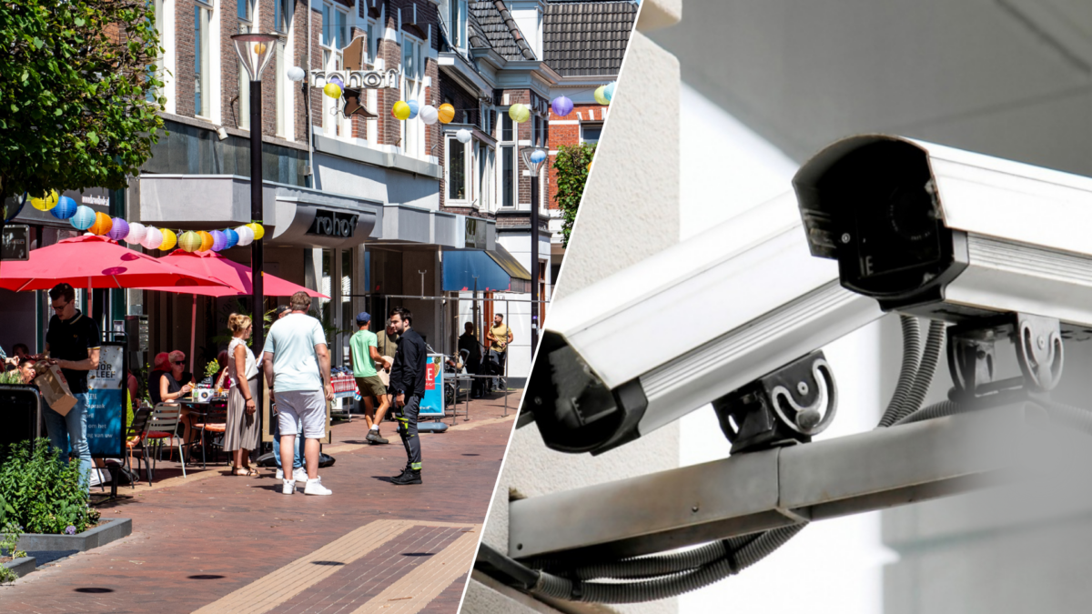 2025 SPLITSCREEN 2 3 PERS WEBSITE NIEUW SCHUIN 8