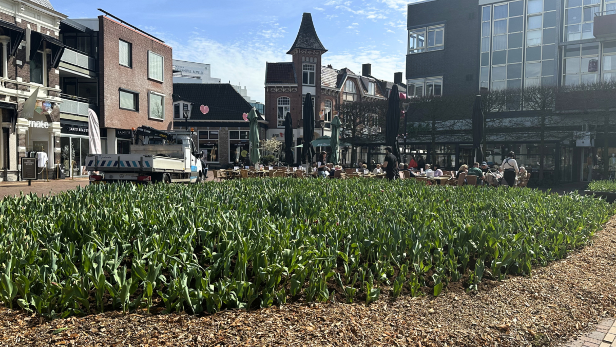 20260409 tulpen koornmarkt