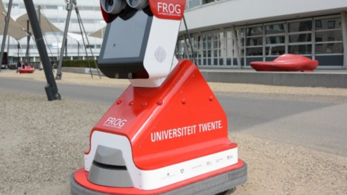 20962 FROG